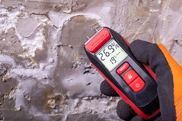 Best Residential Mold Removal  in Cedar Creek, TX