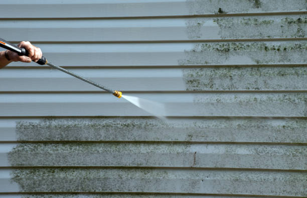 Best Mold Cleaning Services  in Cedar Creek, TX