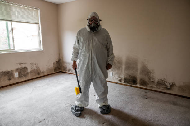 Best Mold Damage Repair  in Cedar Creek, TX